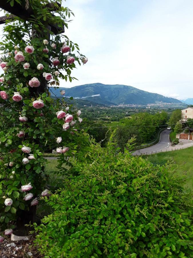 Locanda Bellavista Cavaso Del Tomba Esterno foto